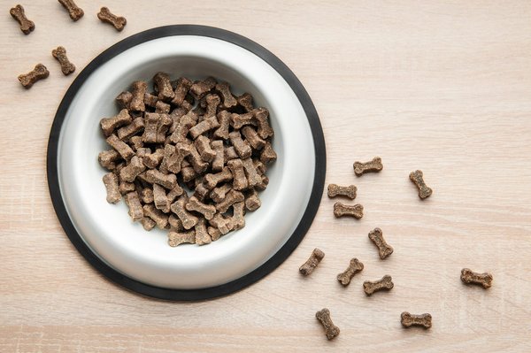 Croquettes pour chien : comment choisir le bon paquet ?